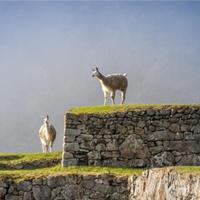 Peru Trekking