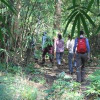 Cambodia Hiking