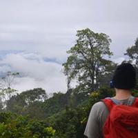 Local landscape 