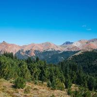 Local landscape 