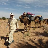 On the trek 