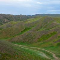 Vast steppe 