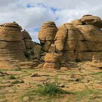 Local landscapes 