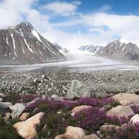 Local landscape 