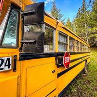 School bus 