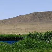 Local landscapes 