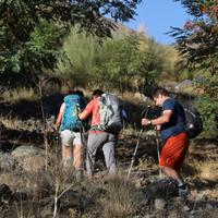 On the trek 