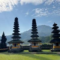 Local landscapes 