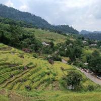 Local landscape 
