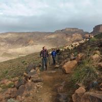 On the trek