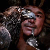 Eagle hunter