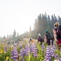 On the trek 