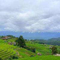 Local landscape 