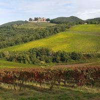 Tuscan panorama