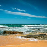 wild beach