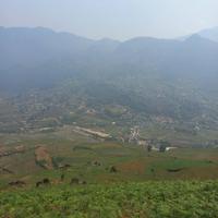 Local landscape 