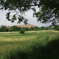 Local landscape 