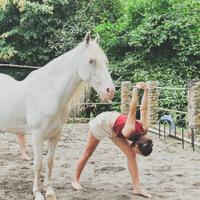 Yoga with Horses