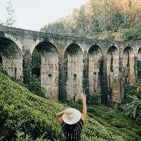 Morning at Nine Arch Bridge