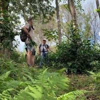 Hiking in Mae Taeng