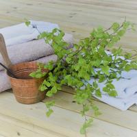 sauna equipment