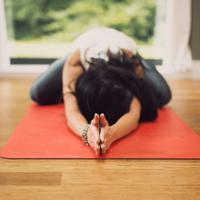 Hatha yoga