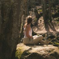 Forest Bathing