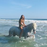 swimming with horses