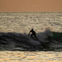 surfing
