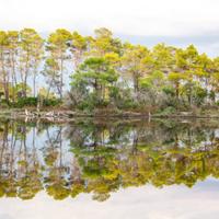 Karavasta Lagoon