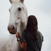 time with the horses