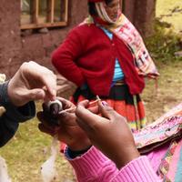 Cultural Exchange