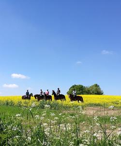 Poland Horseriding