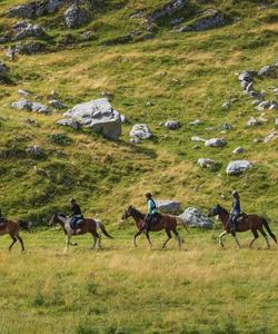 Montenegro Horse Riding