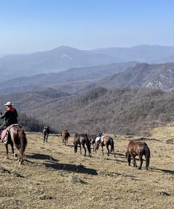 Caucasus Horse Riding