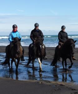 Iceland Horse Riding