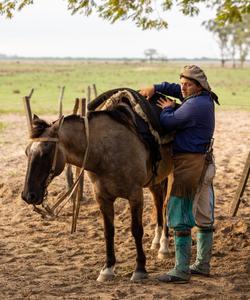 Argentina Horse Ranch