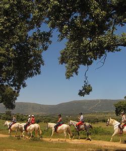 Spain Horse Riding