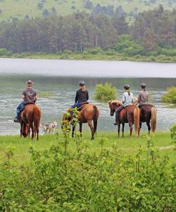 Slovenia Horse Riding