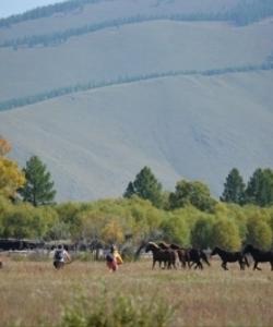Terelj National Park