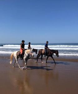 Beach ride 