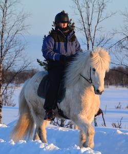 Sweden Riding