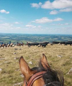 England Horse Riding