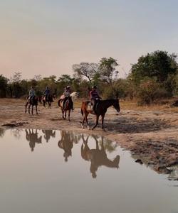Zimbabwe Horse Riding