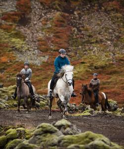 Iceland Horse Riding