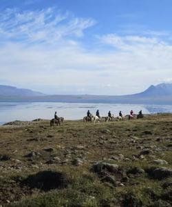 Iceland Riding