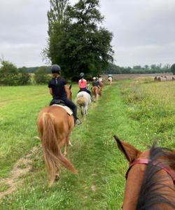 Group horse riding