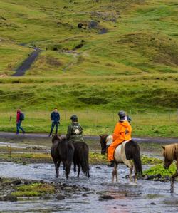 Iceland Horse Riding