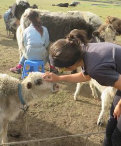 Mongolia Travel