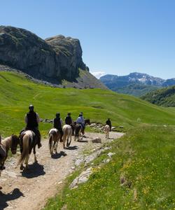Montenegro Horse Riding